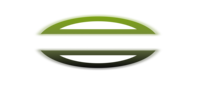 QFS Nesara Official Site Logo